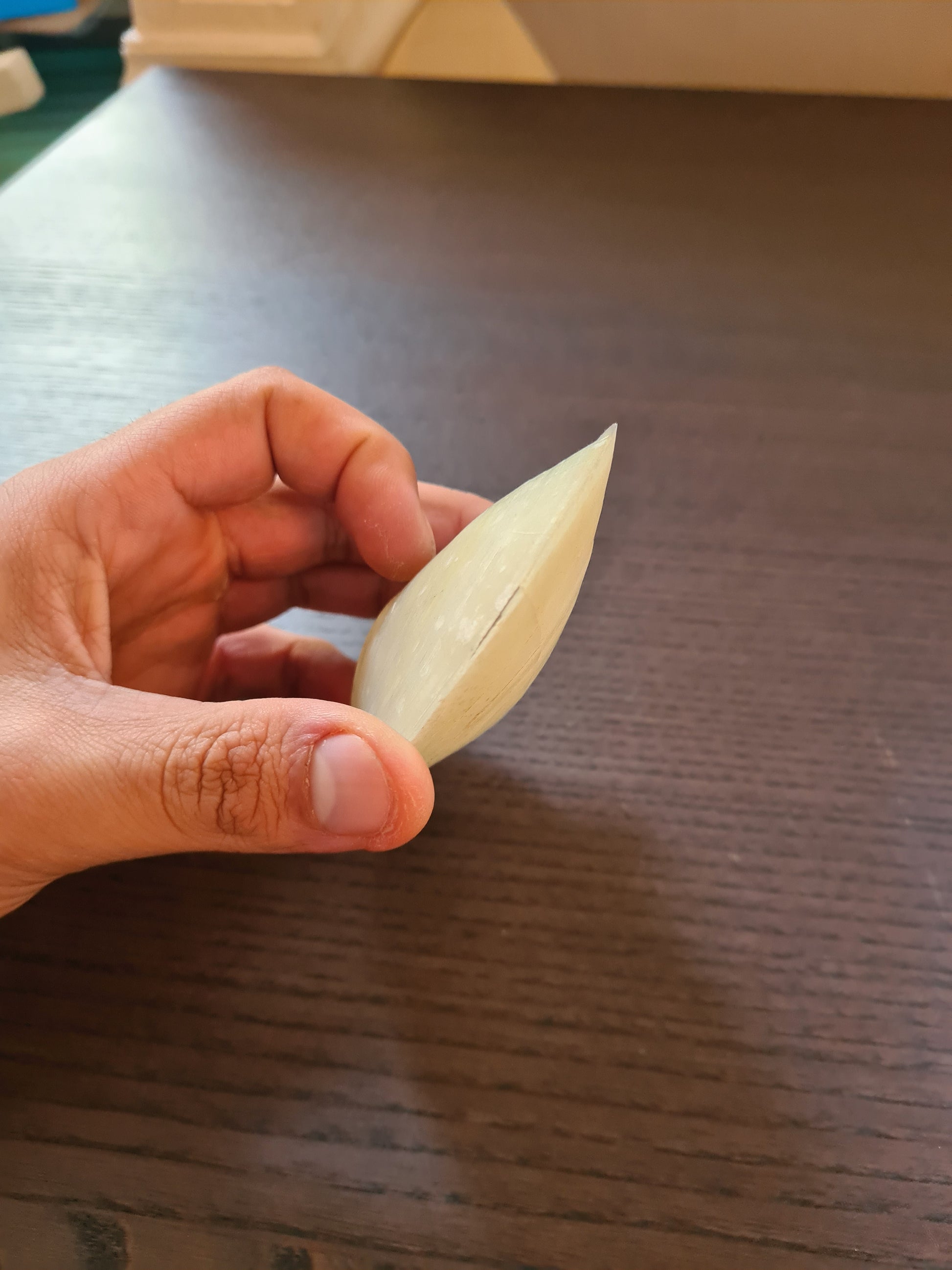 Coquillage Nacré