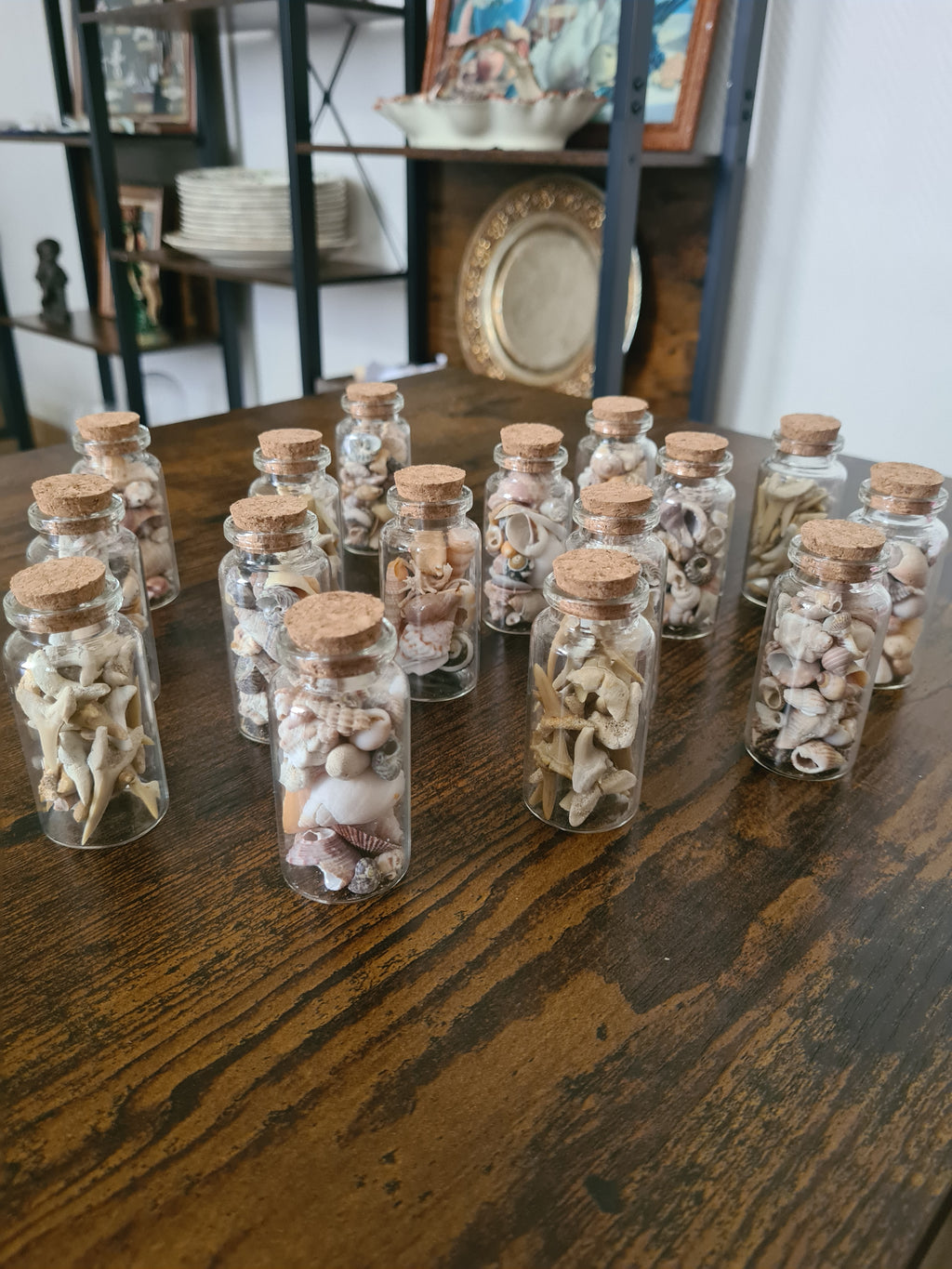 Fioles dents de requins & coquillages