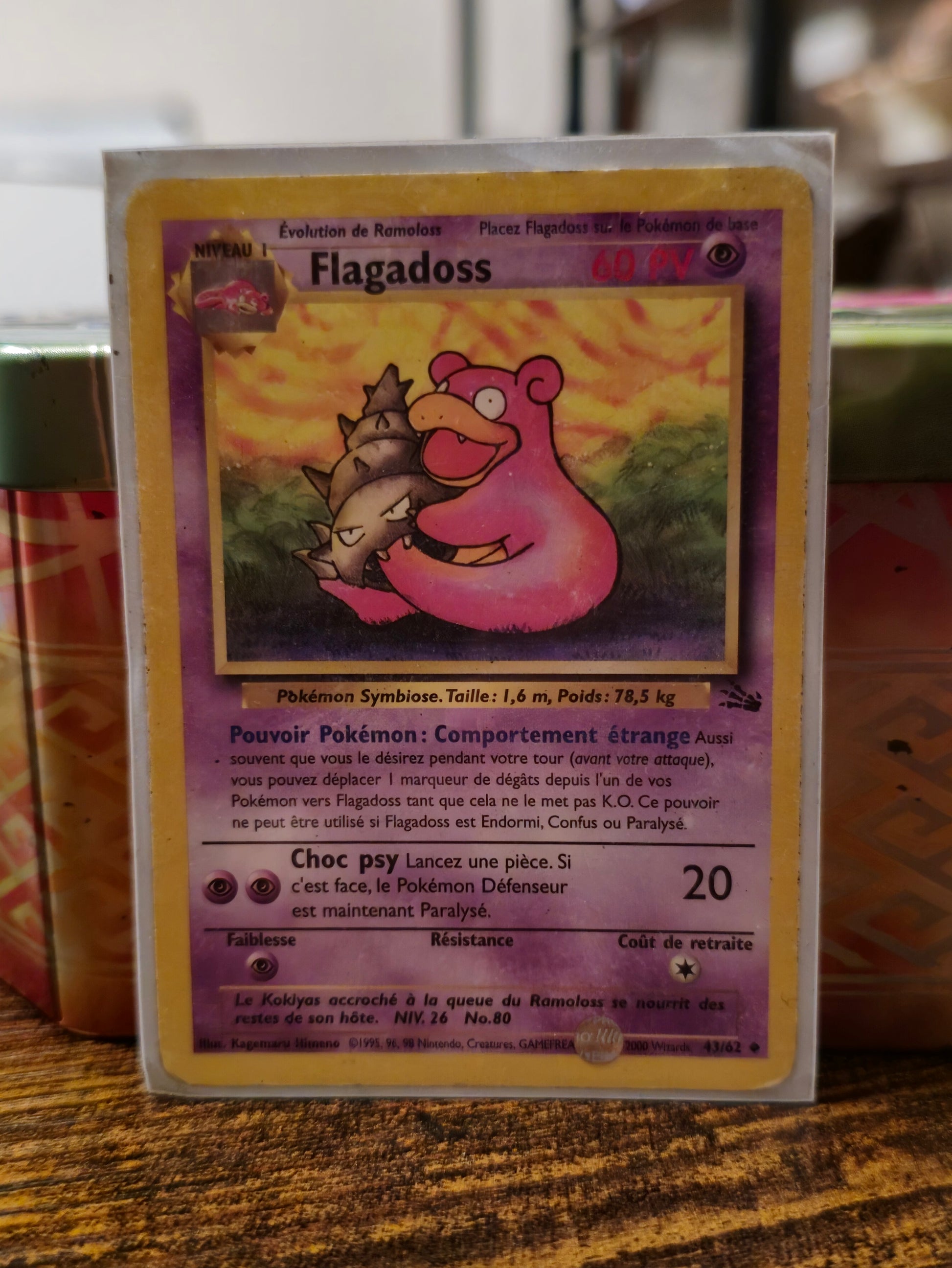 Cartes Pokemon 1995