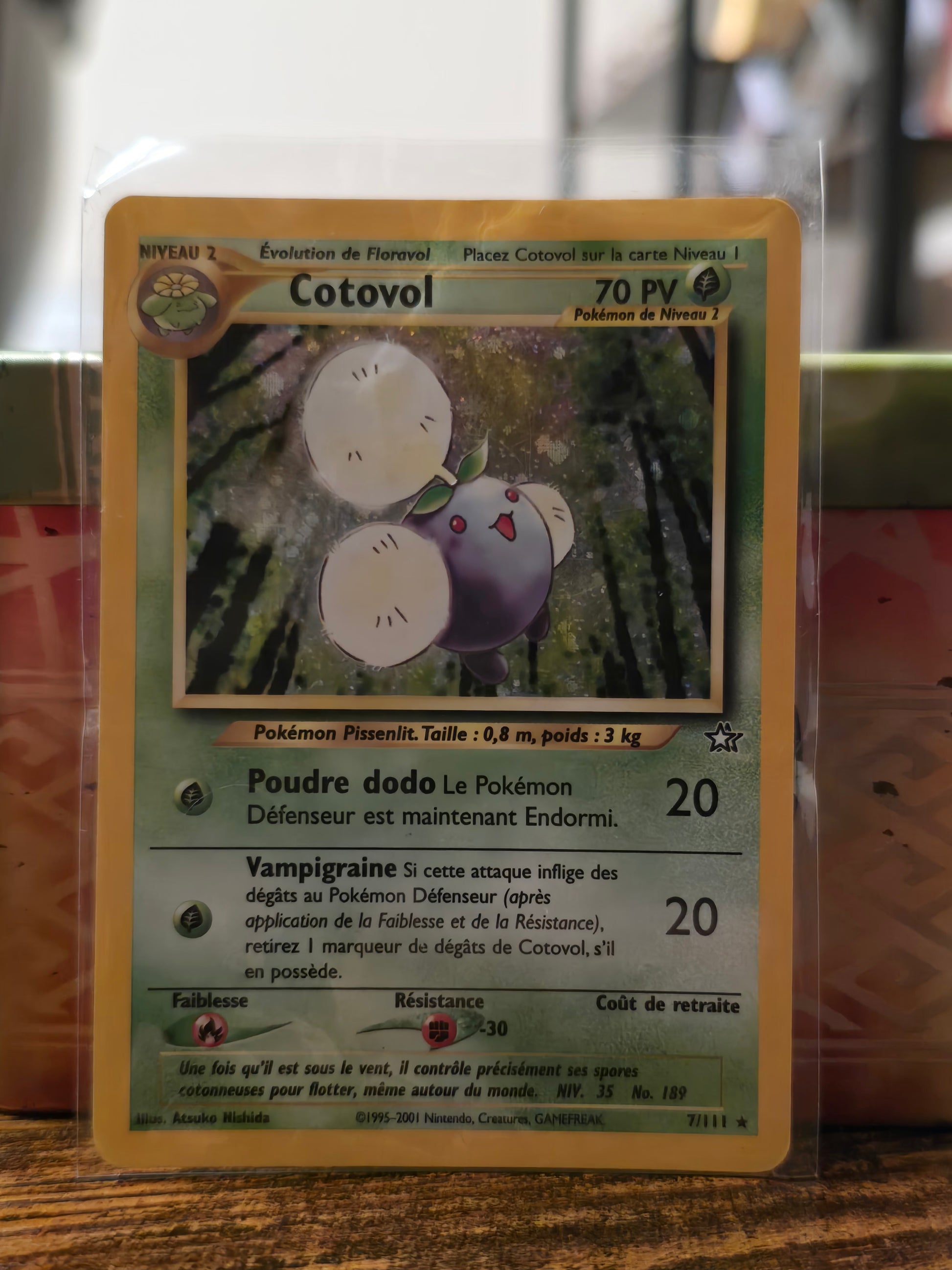 Cartes Pokemon 1995