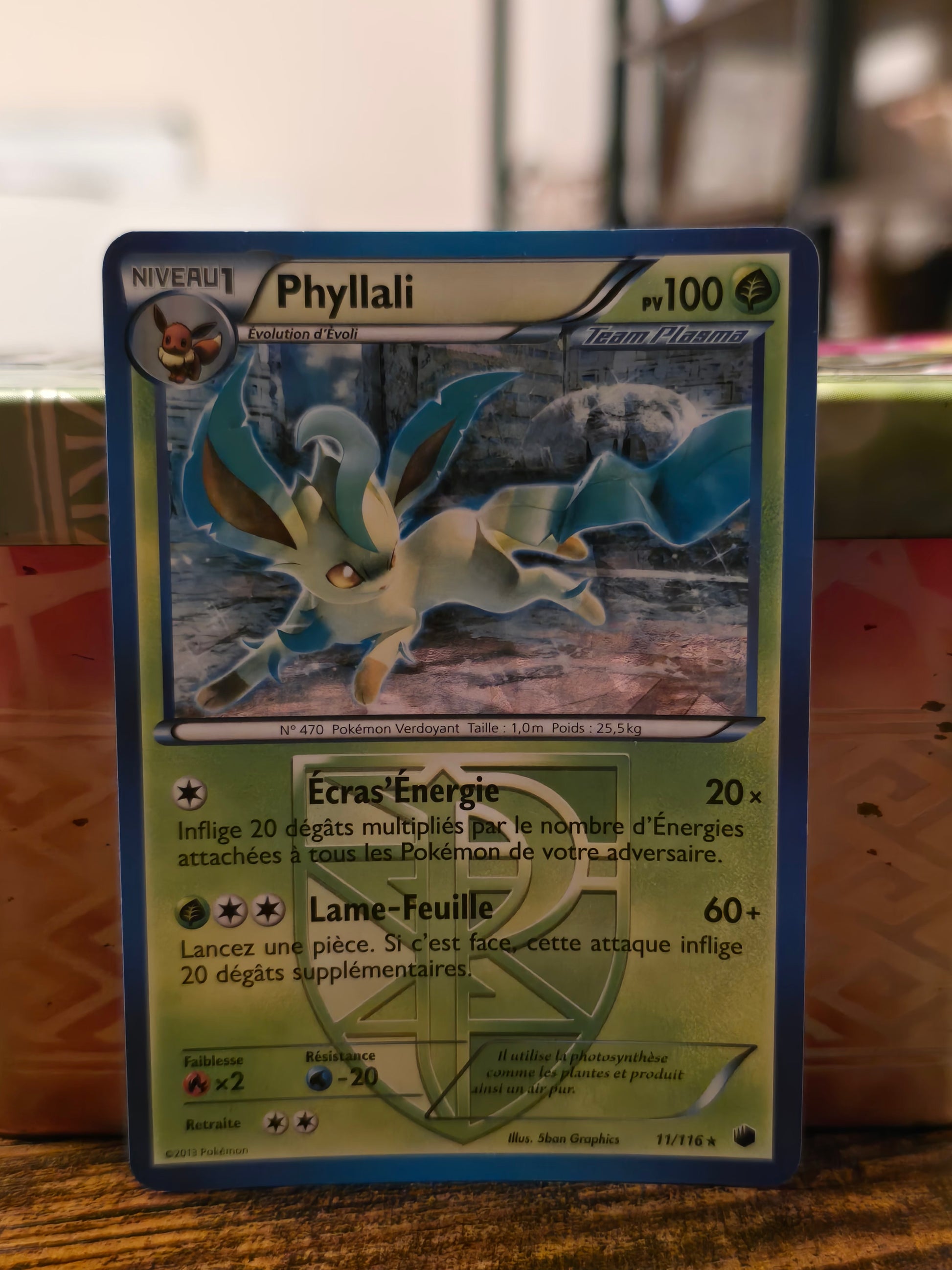 Cartes Pokemon