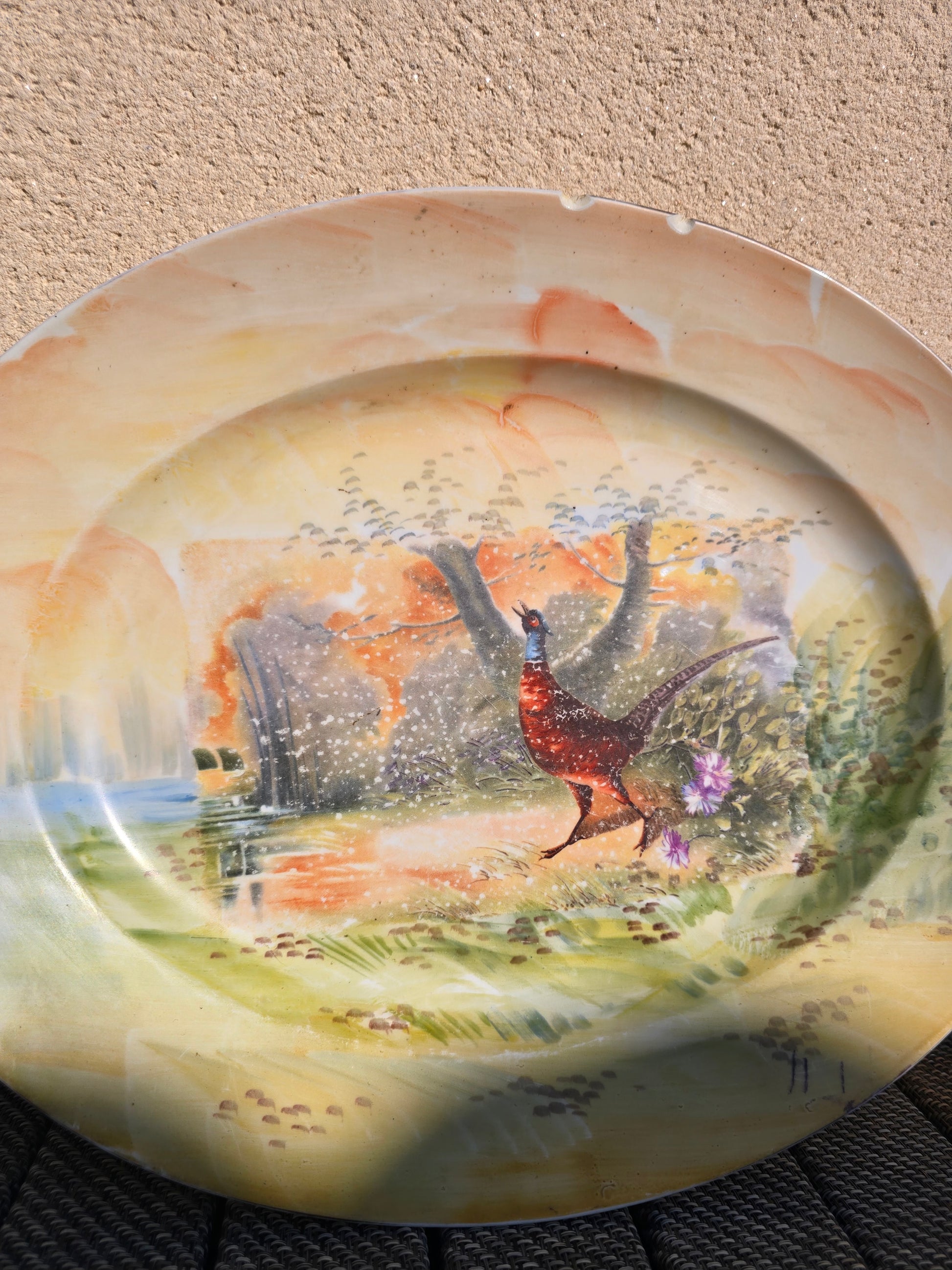 Grand plat creux en porcelaine