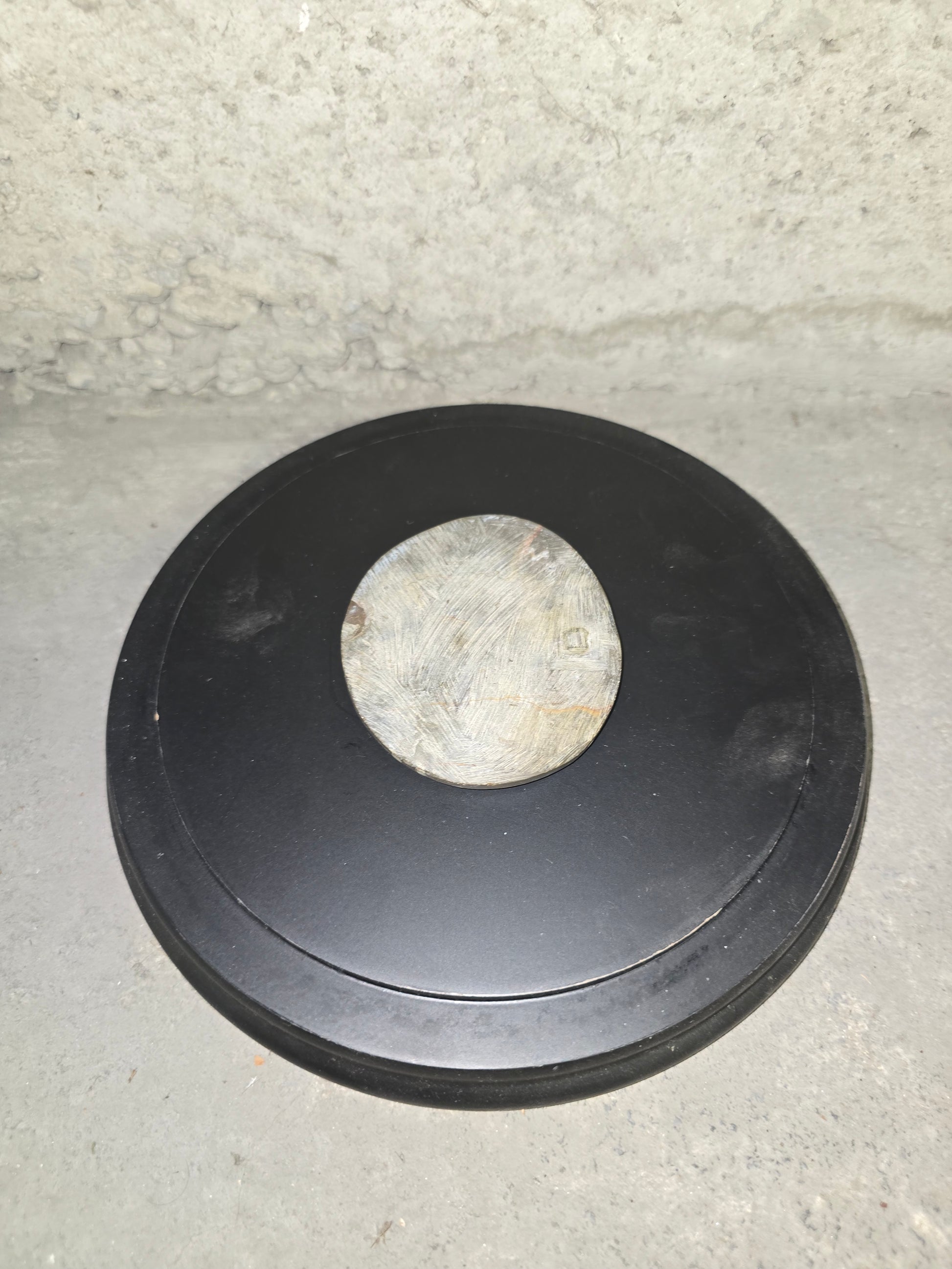 Fossile Goniatite