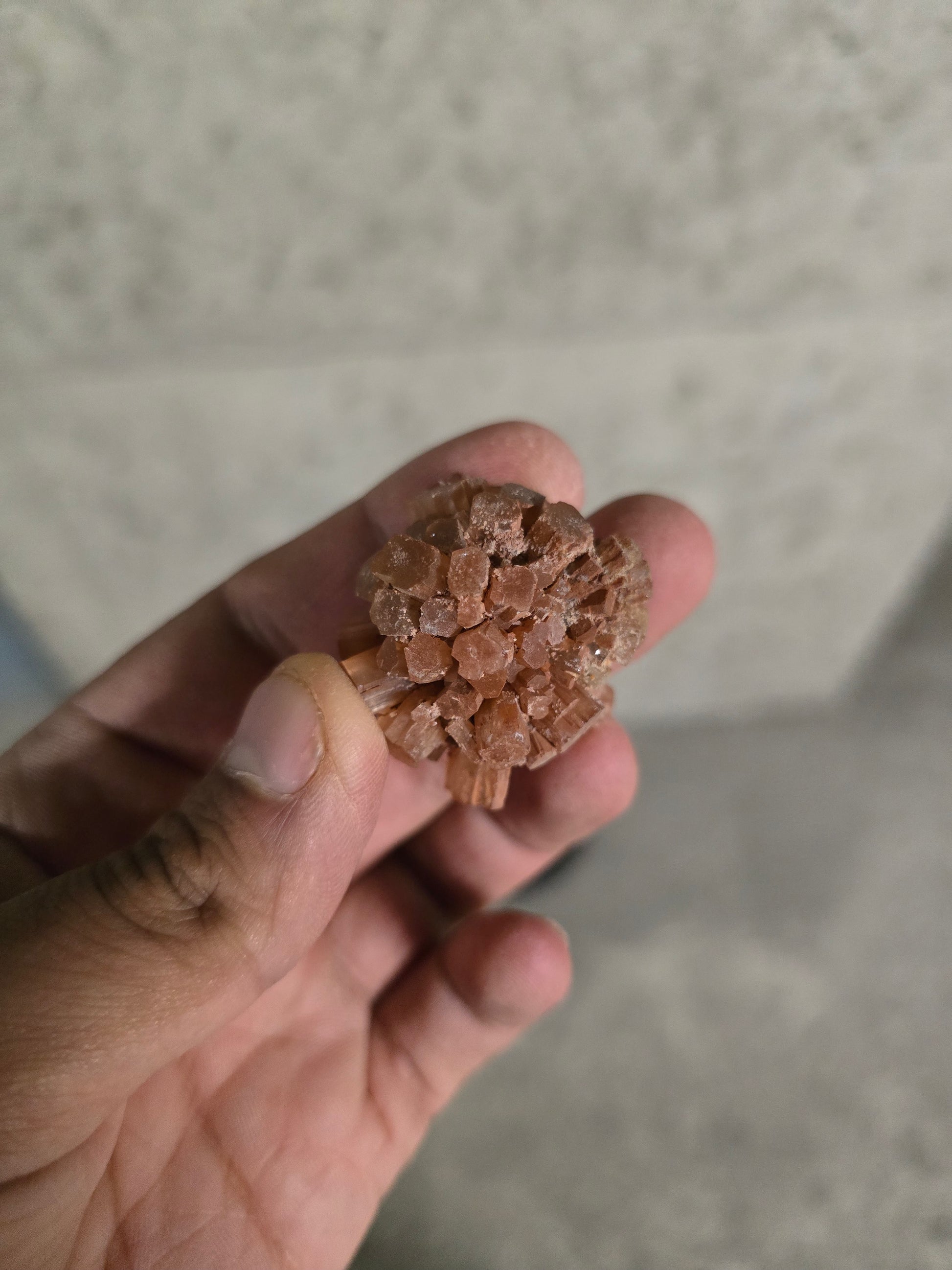 Pierre Aragonite