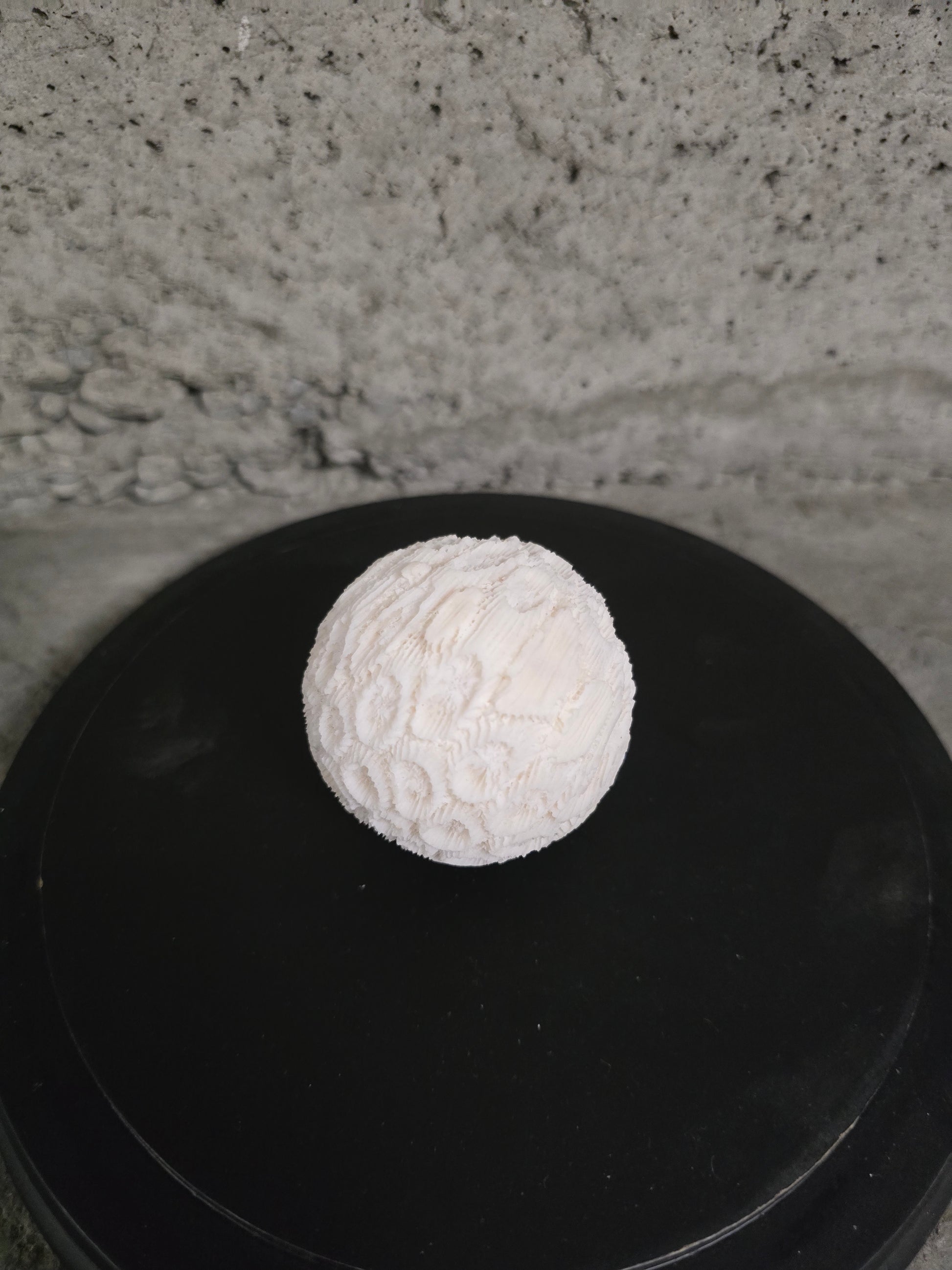 Sphère de corail