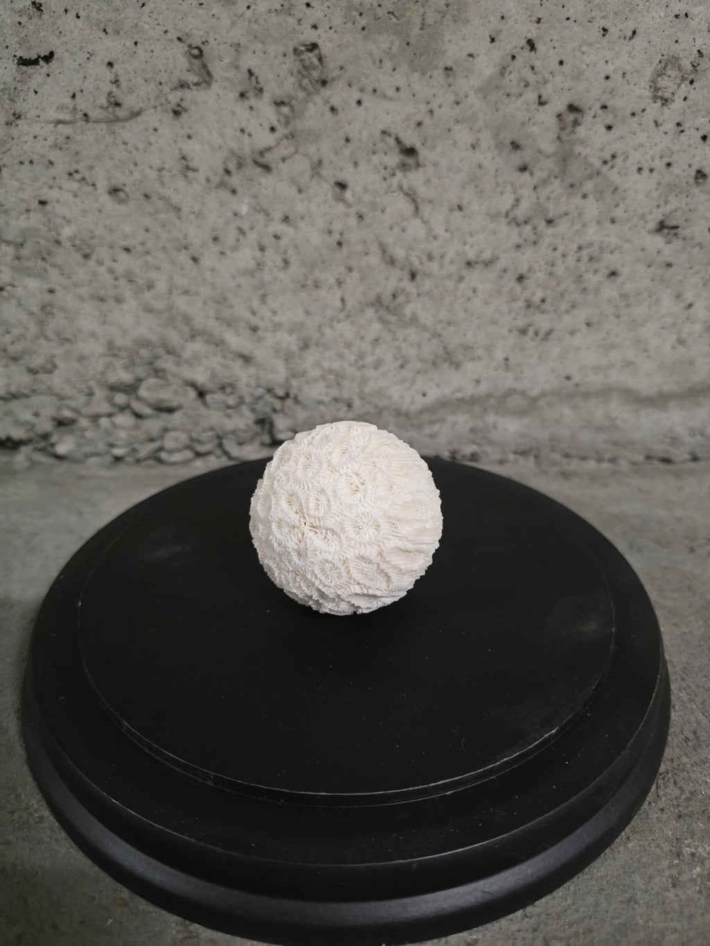 Sphère de corail