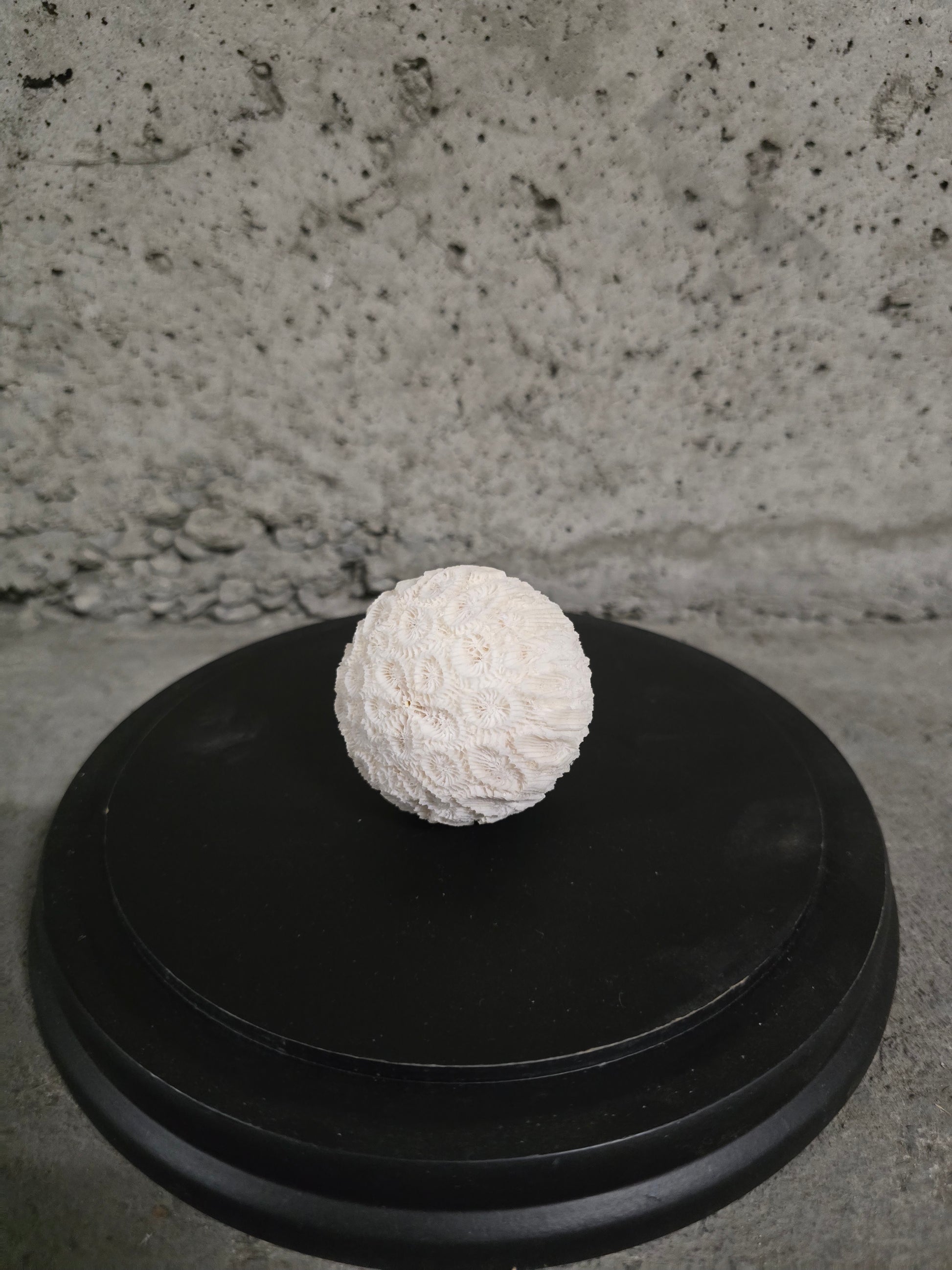 Sphère de corail
